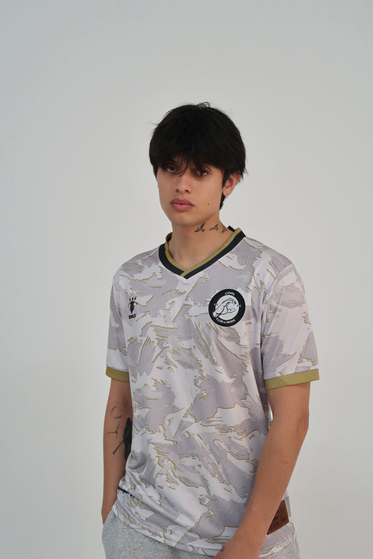 Genesis: The Home Kit